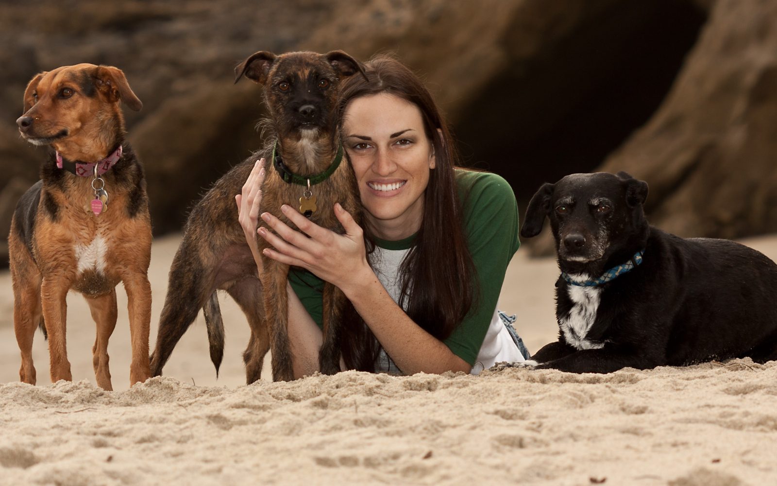 Pet Sitter Certification Program